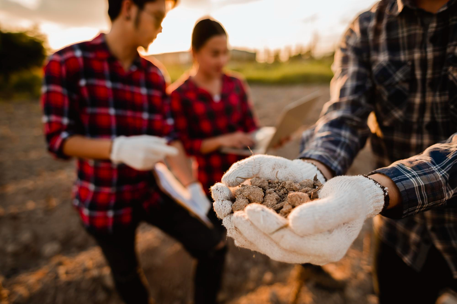 Soil Tips for Residential Developers