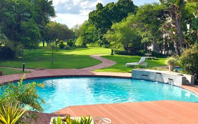 The Role of Proper Soil Care in Preventing Pool Damage