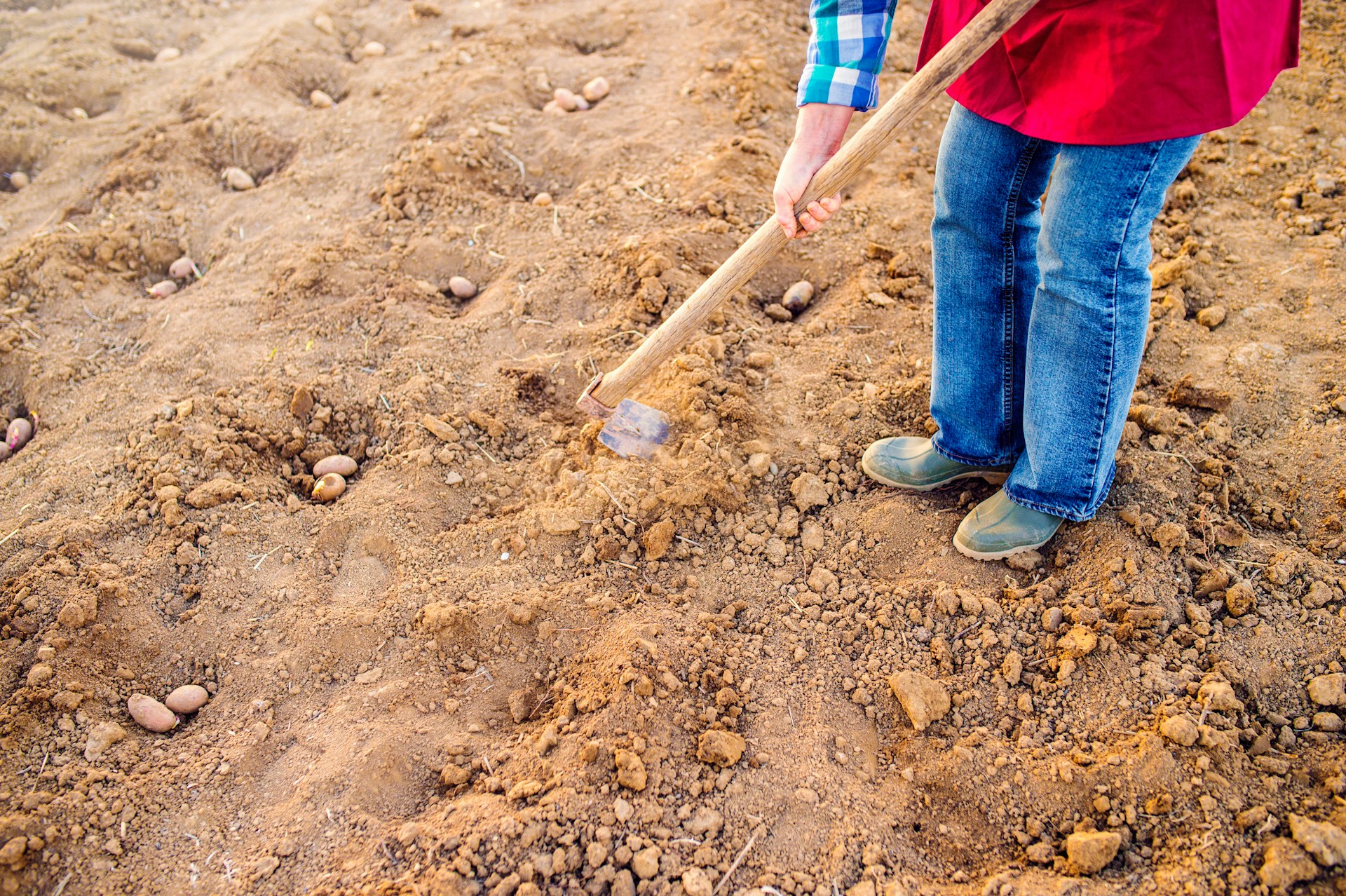 Soil Maintenance