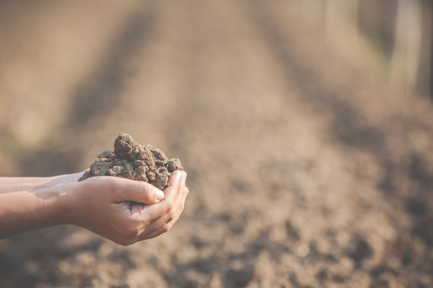 soil challenges
