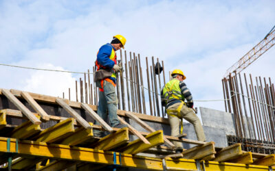 Which Modern Soil Solutions Work Best for Texas Builders