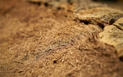 Ensuring Effective Soil Stabilization Post-Injection