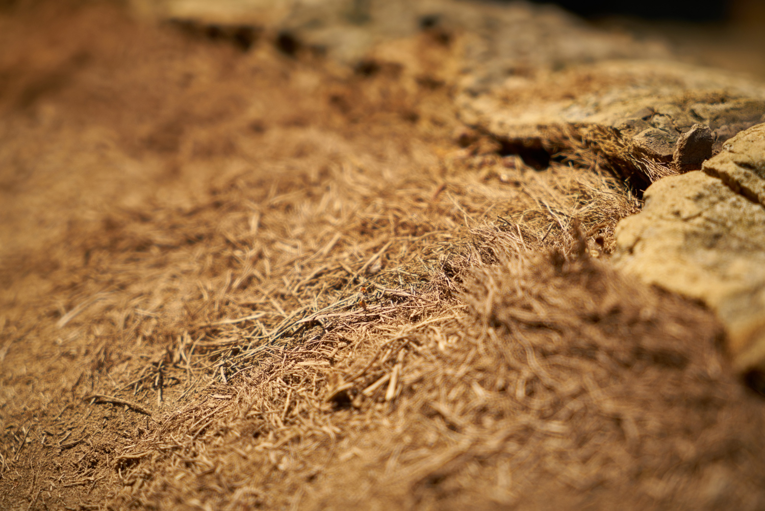soil stabilization